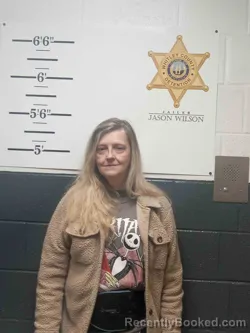 Mugshot of DONNA CUNNINGHAM