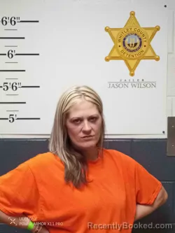 Mugshot of LINDSAY JOHNSON