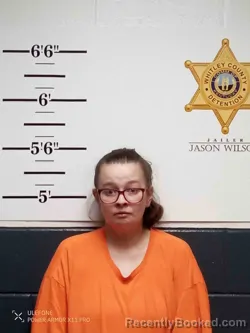 Mugshot of BRITTANY HARP