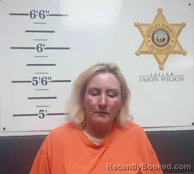 Mugshot of LINDSEY DRUMMOND