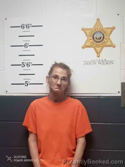 Mugshot of SARA CLOUSE