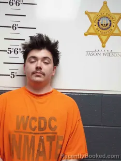 Mugshot of HUDSON RACE