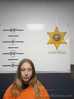 Mugshot of CIARA PERRY