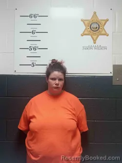 Mugshot of BRITTANY RAINWATER