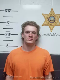 Mugshot of JACKSON BICHSEL