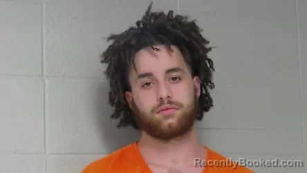 Mugshot of BRANNDON LEWIS BROOKS