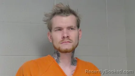 Mugshot of MIROSLAV VISHNEVSKII