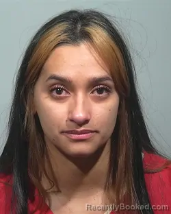 Mugshot of Shannon Lee Dilbert