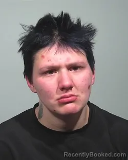 Mugshot of Nicole Lucile Banaski