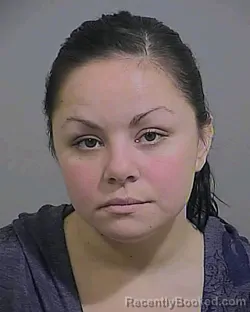 Mugshot of Lisa Marie Witham