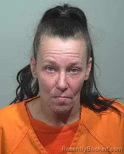 Mugshot of Amie Jean Dyer