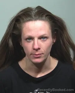 Mugshot of Heather Marie Lewis