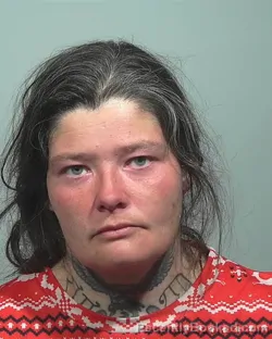 Mugshot of Janice Louise Brown