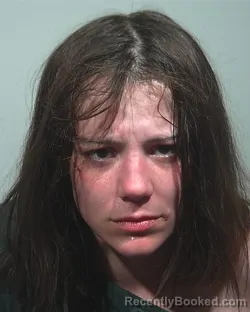 Mugshot of Lilith Lee Price