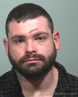 Mugshot of ADDISON STEPHEN D'AMICA