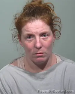 Mugshot of Megan Marie Hamilton