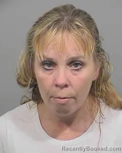 Mugshot of Robin Whitney Feehan booked in Cumberland County, Maine on March 23, 2026