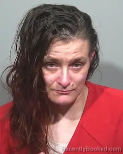 Mugshot of Renee Hope Speranza booked in Cumberland County, Maine on May 19, 2026