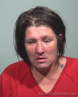Mugshot of DESIREE JANE THOMPSON booked in Cumberland County, Maine on June 22, 2026