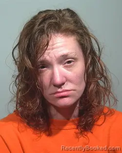 Mugshot of Danielle Lynn Damboise booked in Cumberland County, Maine on July 8, 2026