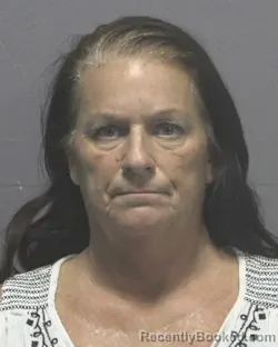 Mugshot of Christine Marie Stapins booked in New Hanover County, North Carolina on August 28, 2026