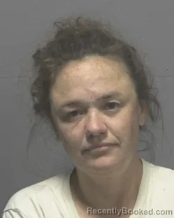 Mugshot of DEANNA KAYE WELLS booked in New Hanover County, North Carolina on March 24, 2026