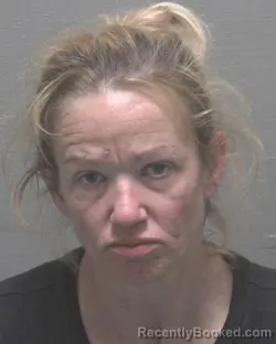 Mugshot of JAMIE LYNN FARMER booked in New Hanover County, North Carolina on March 22, 2026