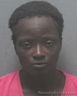 Mugshot of CYNTHIA AMANDA ALLEN booked in New Hanover County, North Carolina on May 31, 2026