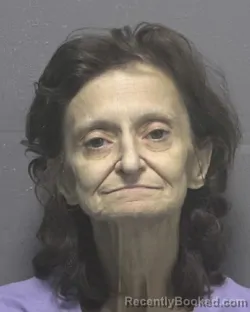 Mugshot of CYNTHIA SCHRONCE DREW booked in New Hanover County, North Carolina on July 10, 2026