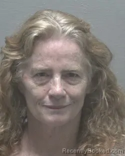 Mugshot of DESIREE LYNN ANDERSON booked in New Hanover County, North Carolina on May 7, 2026