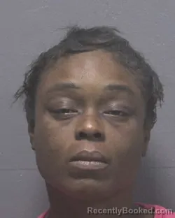 Mugshot of TERRI AQUENETTA RICHARDSON booked in New Hanover County, North Carolina on April 28, 2026