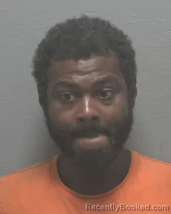 Mugshot of Paul Bress booked in New Hanover County, North Carolina on August 21, 2026