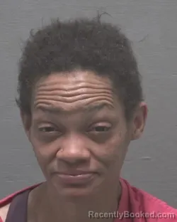 Mugshot of EVELYN LYNETTE PETERS booked in New Hanover County, North Carolina on March 30, 2026