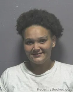 Mugshot of Eryka Nicole Burney booked in New Hanover County, North Carolina on August 20, 2026