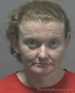 Mugshot of CHELSEA ANNE CLARKE booked in New Hanover County, North Carolina on March 20, 2026