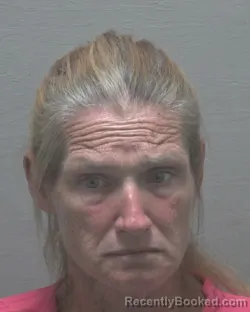 Mugshot of BEATRICE DORTHEA MCDOWELL booked in New Hanover County, North Carolina on July 14, 2026