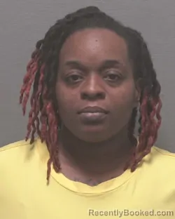 Mugshot of JEREEMA CHRISTINA BUTLER booked in New Hanover County, North Carolina on June 2, 2026
