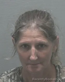 Mugshot of GAIL ANN PLOURDE booked in New Hanover County, North Carolina on July 10, 2026