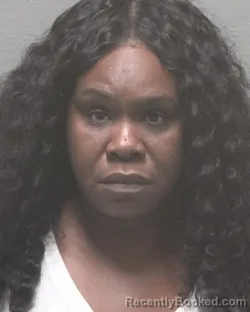 Mugshot of ERIKA WASHINGTON