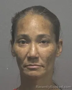 Mugshot of JULIE ANNE STRICKLAND booked in New Hanover County, North Carolina on March 26, 2026