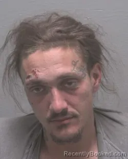 Mugshot of TRISTAN MONTGOMERY BRASHEAR booked in New Hanover County, North Carolina on March 18, 2026