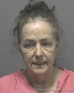 Mugshot of DONNA MARIE RYAN booked in New Hanover County, North Carolina on May 27, 2026