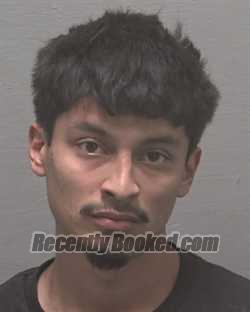 Booking photo from New Hanover County, North Carolina