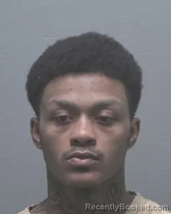 Booking photo from New Hanover County, North Carolina