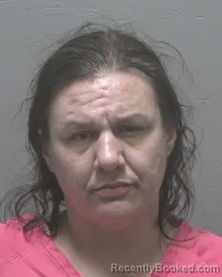 Booking photo from New Hanover County, North Carolina