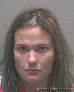 Booking photo from New Hanover County, North Carolina