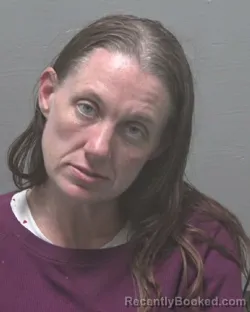 Mugshot of NICOLE LYNN CAREY