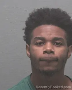 Booking photo from New Hanover County, North Carolina