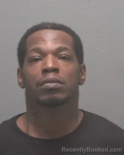 Booking photo from New Hanover County, North Carolina