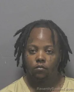 Mugshot of RENEE KENYA IDELLA WILLIAMS booked in New Hanover County, North Carolina on May 6, 2026